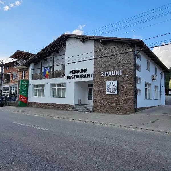 Pensiune Restaurant Pizzerie 2 Păuni, hotel in Borşa