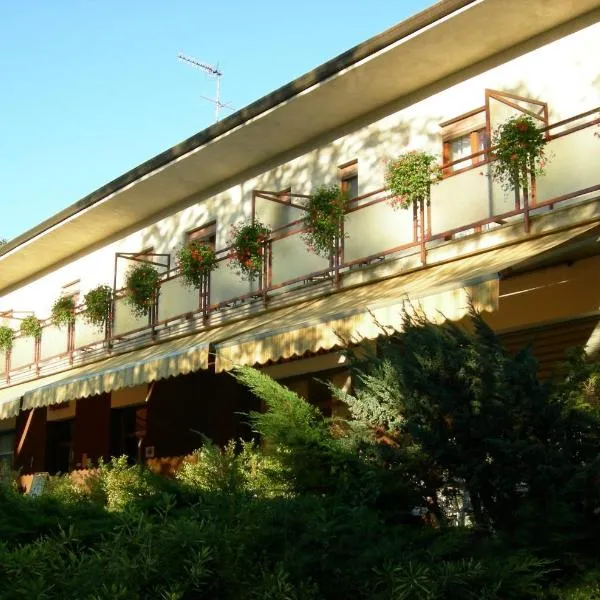 Albergo La Genzianella、Miasinoのホテル