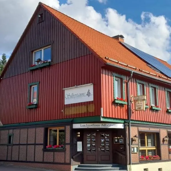 Hotel Silbertanne, hotel in Hohegeiß