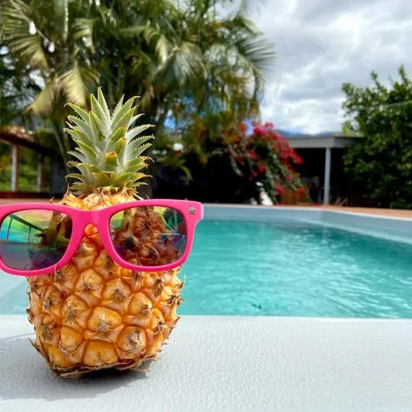 Cocooning Tropic Studio avec Jacuzzi privatif, Hotel in Saint-Louis