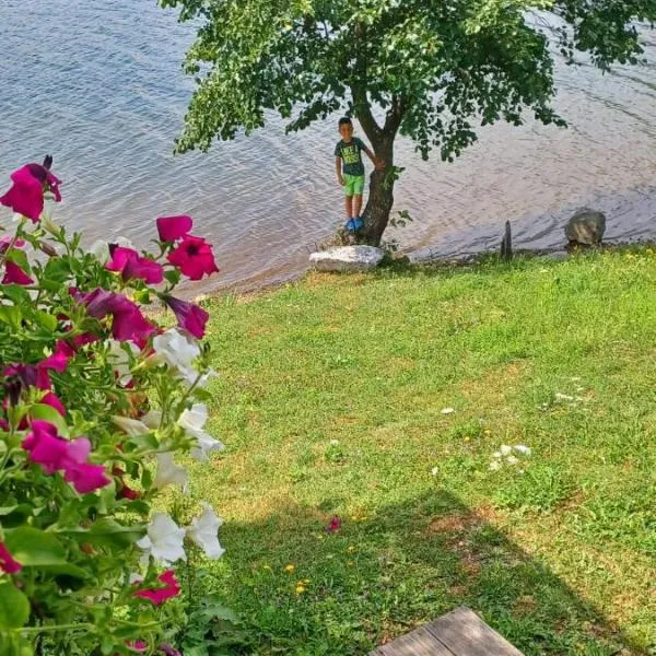 Aurora on the lake, hotel v destinaci Fužine