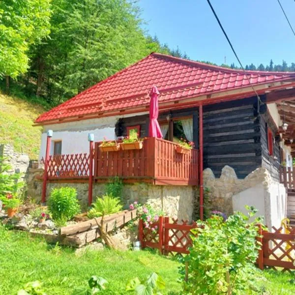 Chalupa pri Čerešni “Moja srdcovka”, מלון בסטארה הורי