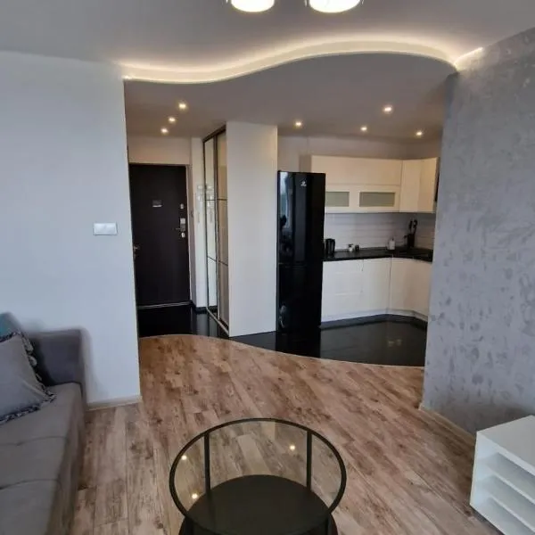 LUXURY SILVER APARTMENT by Marta, hotel in Radom