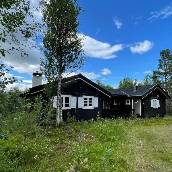 Baybu - cabin close Geilo Skisenter and the center of Geilo, ξενοδοχείο σε Geilo