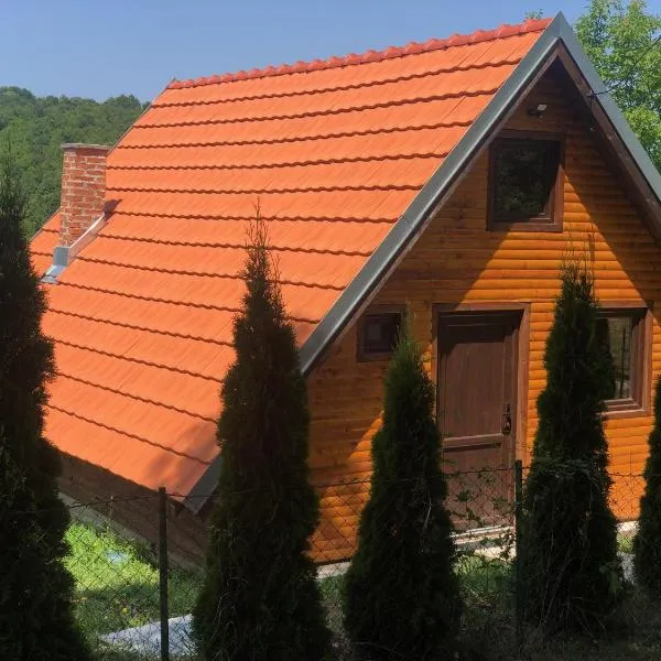 Koliba Joca，位于Lepterija的酒店