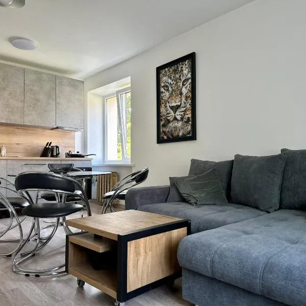 Riga Mezaparks apartment + private parking, hotel in Rīga
