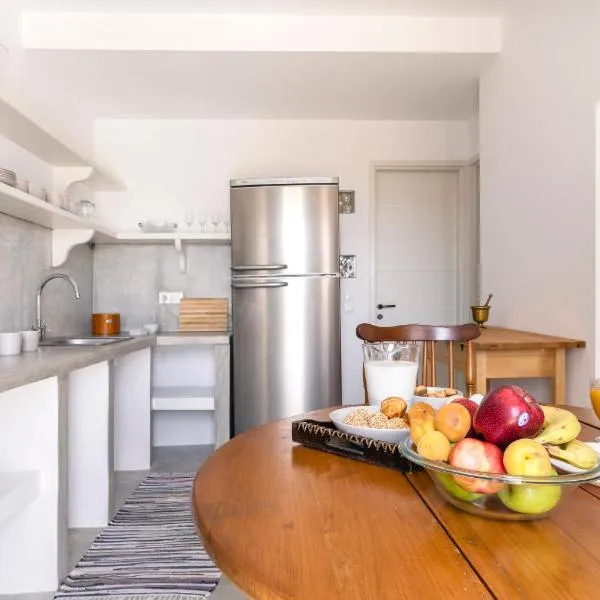 Petrina Volia - Residence Anemos, hotel v destinaci Ándros