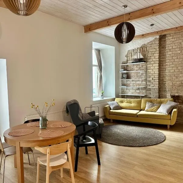 Cozy studio apartment central, hôtel à Vilnius