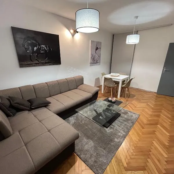 Apartments Ciki, hotel v destinaci Podgorica