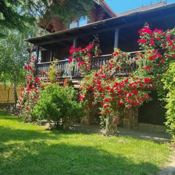 Cabana Haiducului, hotel in Soveja