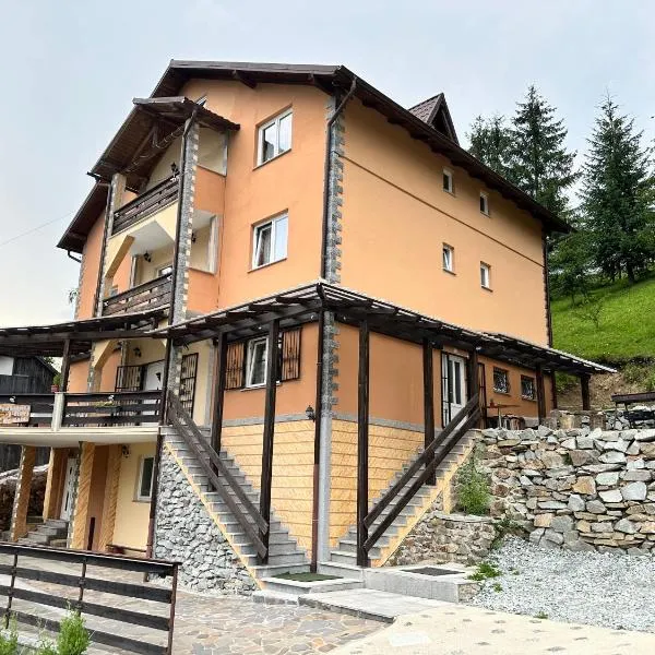 Pensiunea 3flori de Colț, hotel in Statiunea Borsa