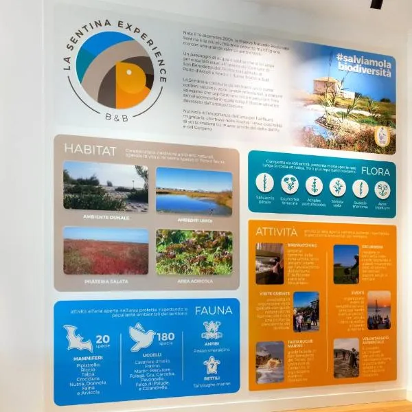 La Sentina Experience, hotel in San Benedetto del Tronto