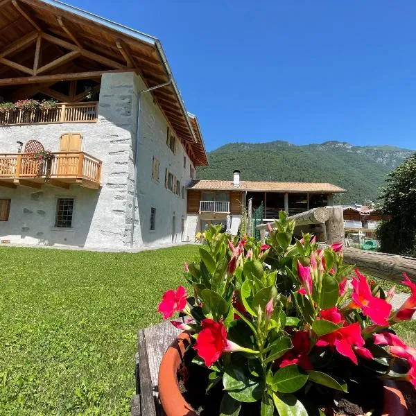 La Lesivèra Bed and Breakfast, hotel en Tione di Trento