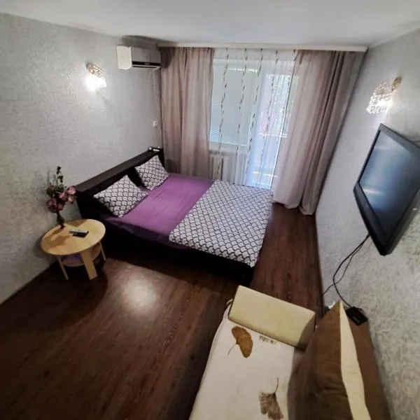 однокомнатная квартира в сердце города – hotel w mieście Krzywy Róg