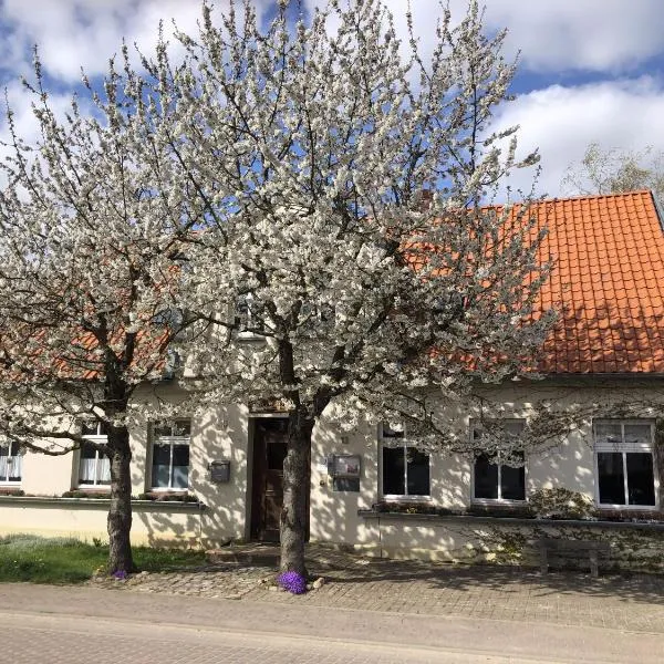 Landhof Trittelwitz, hotel en Schönfeld