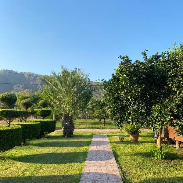 Plaj Hotel, hotel v destinaci Çıralı