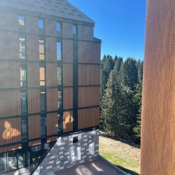 Woodside Apartment, ξενοδοχείο στο Κοπαόνικ