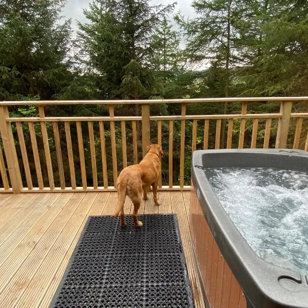 Holly Berry Lodge with Hot Tub, hotel en Cupar