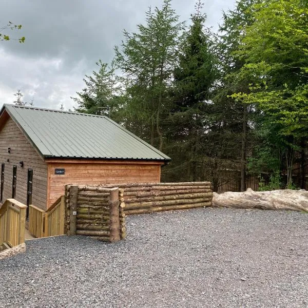 Holly Berry Lodge with Hot Tub, hotel in Cupar