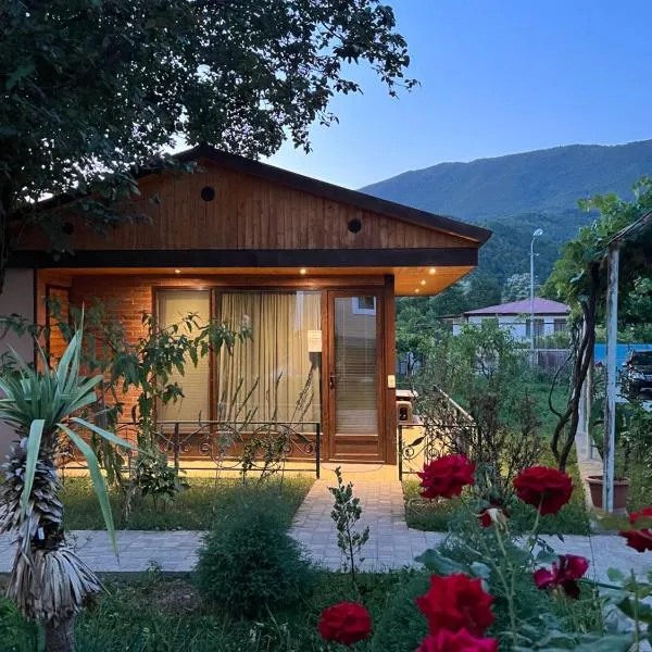 Qoqosa In Racha, hotel in Ambrolauri