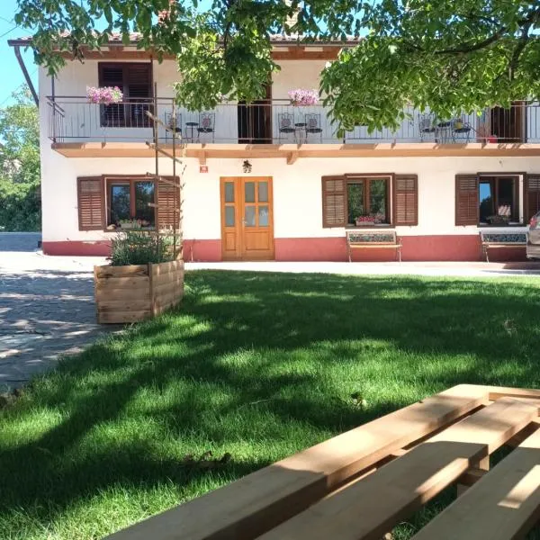 Apartma Brina 3，位于塞扎纳的酒店