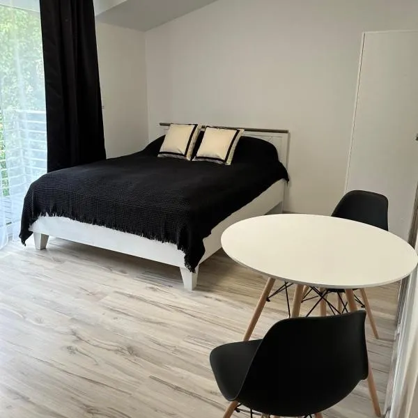 Roomflacja,維斯瓦的飯店