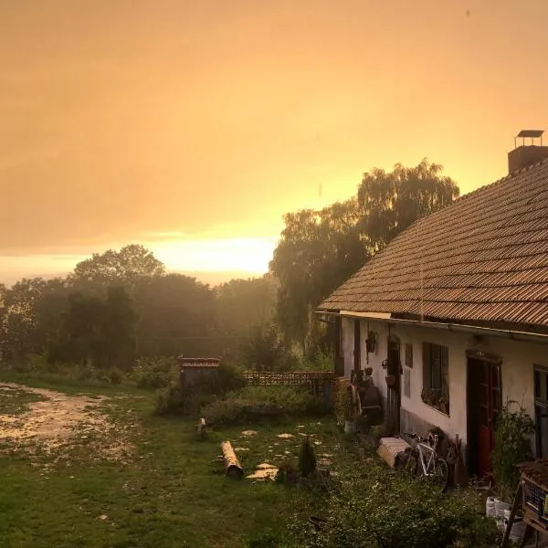 127 let stará chalupa se spaním na peci a finskou saunou, hotel in Jistebnice