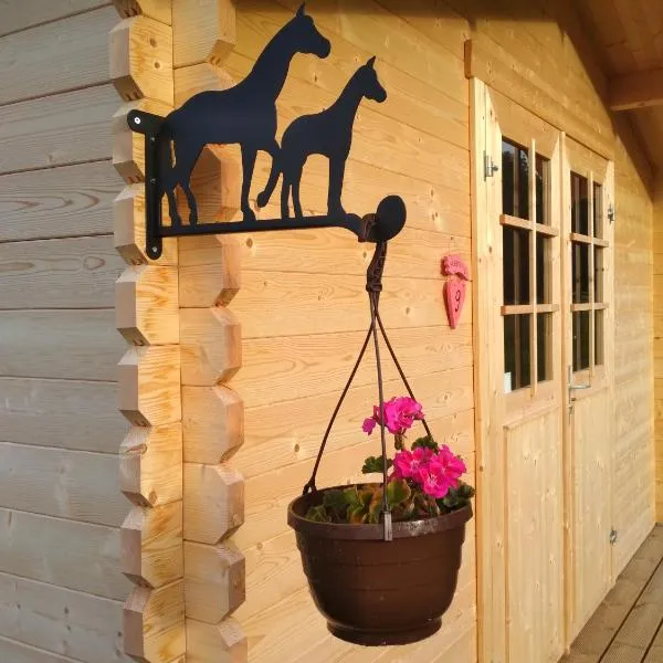 Kilplaste küla kämpingud, hotel di Müüsleri