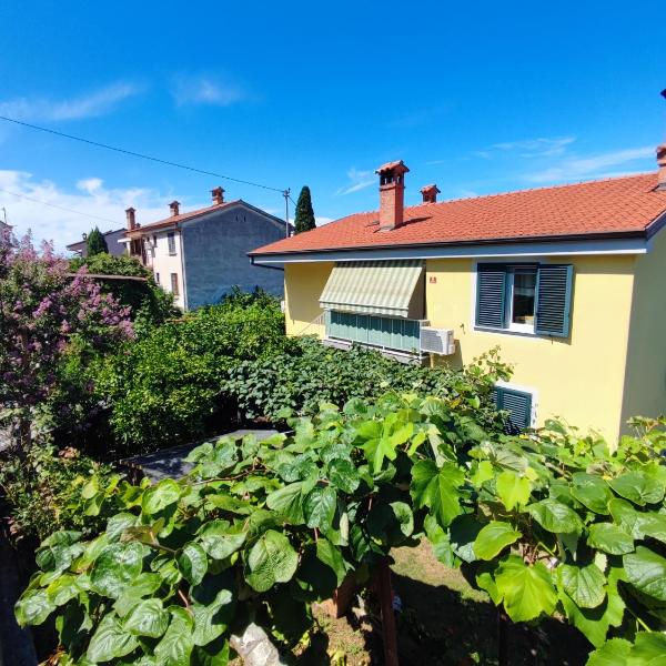 Apartma-studio Barbara, Žusterna
