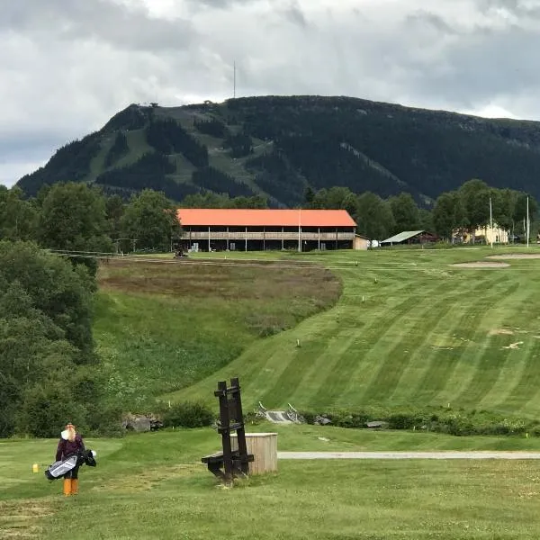 Ljusnedal lägenhet med golf, paddel, fiske och skidåkning, hotel en Ljusnedal