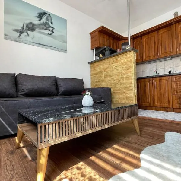 Byt v centre mesta Snina, hotel v destinaci Snina