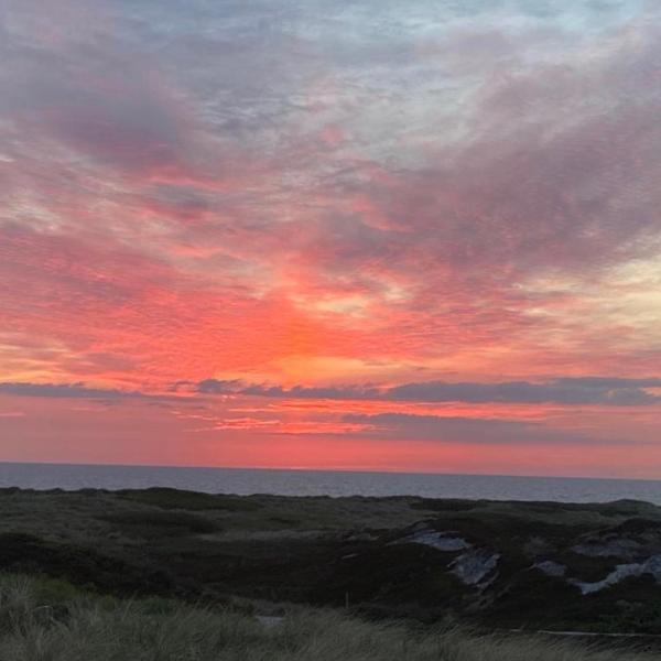 sonnenscheinsylt