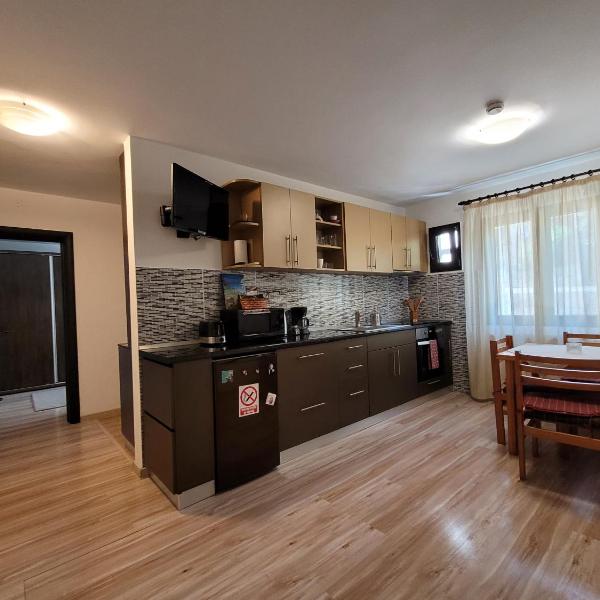 Central Place Apartment Timisoara