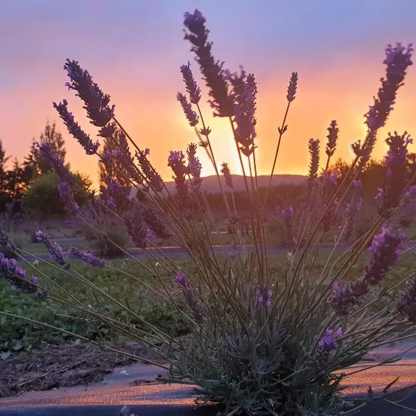 Lavender Row Farm, hôtel à Outram