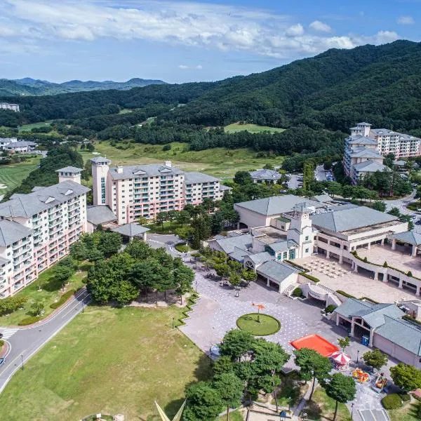 Oak Valley Resort Valley Village, hotel in Wonju