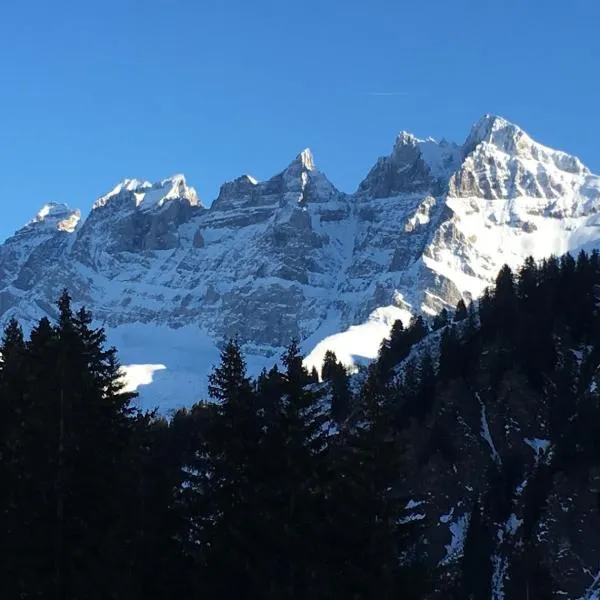 Family friendly appt on the slopes, hotel in Les Crosets