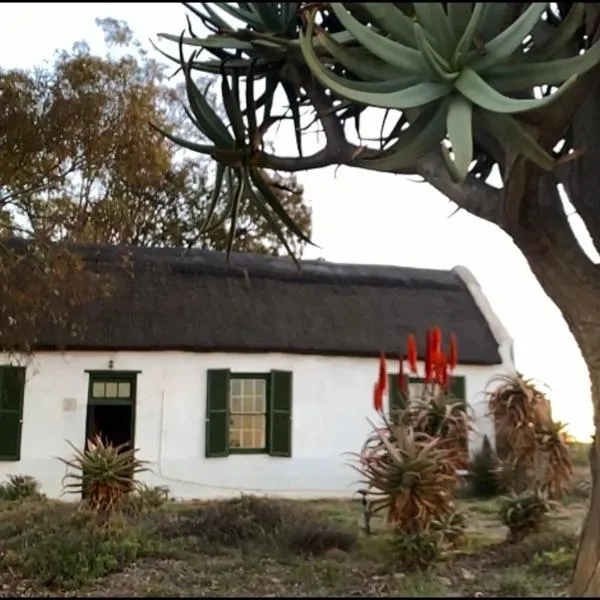 Moreson, hotel in Nieuwoudtville