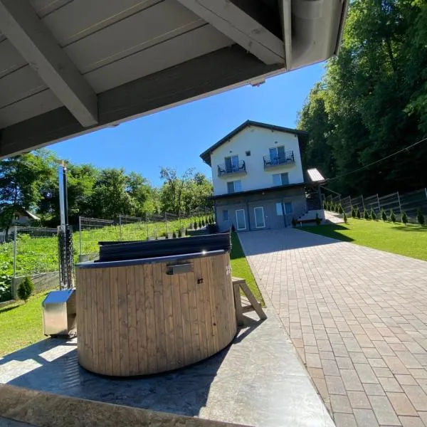 Casa Dumitru 2, hotel in Valea Borului