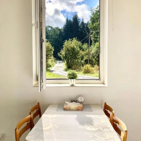 Útulný byt v Jizerských horách -Apartmán Mili, hotel in Kořenov