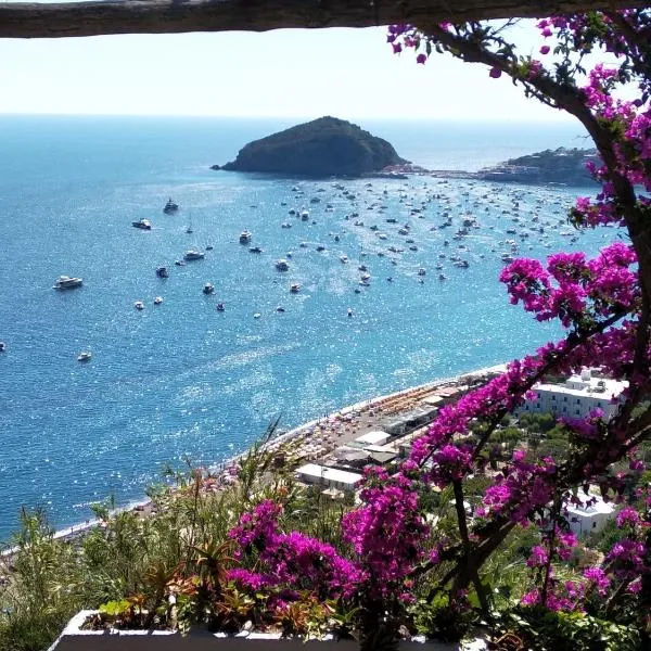 Hotel Villa al Mare, hotel in Ischia