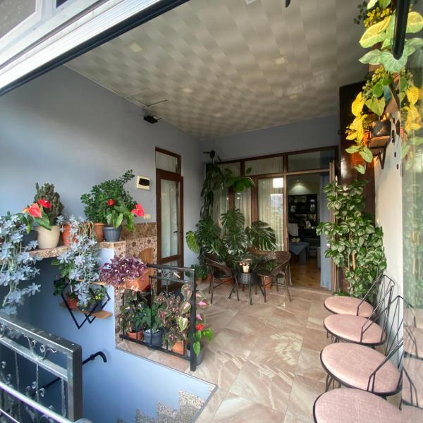Tamriko Apartment