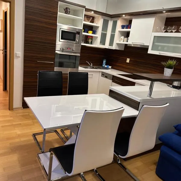 Apartments Spačilova nearly center, hotel in Komárov