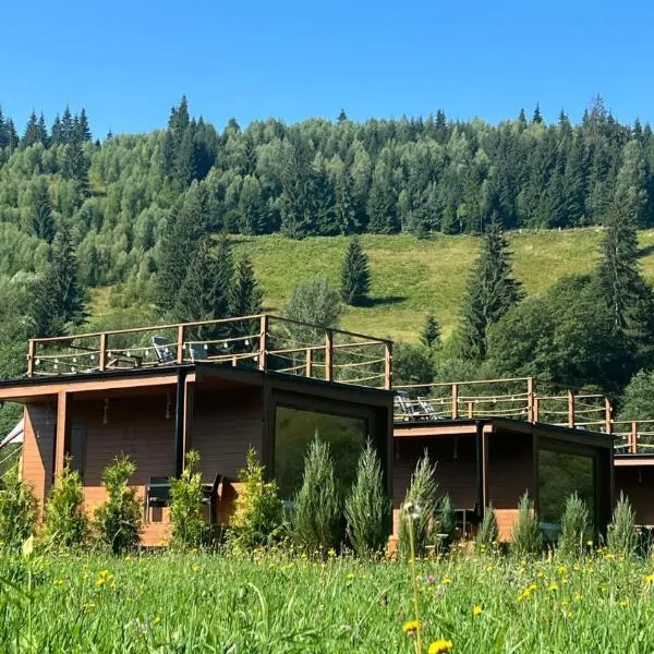 La AMI Kaban, hotel in Câmpulung Moldovenesc