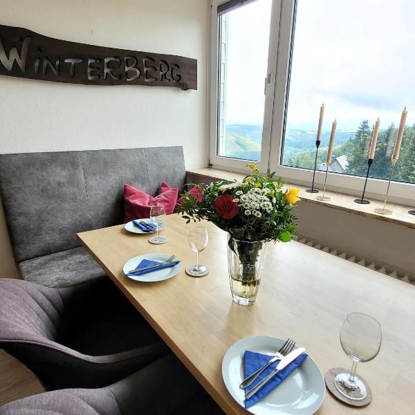 Winterberg Appartement 21093