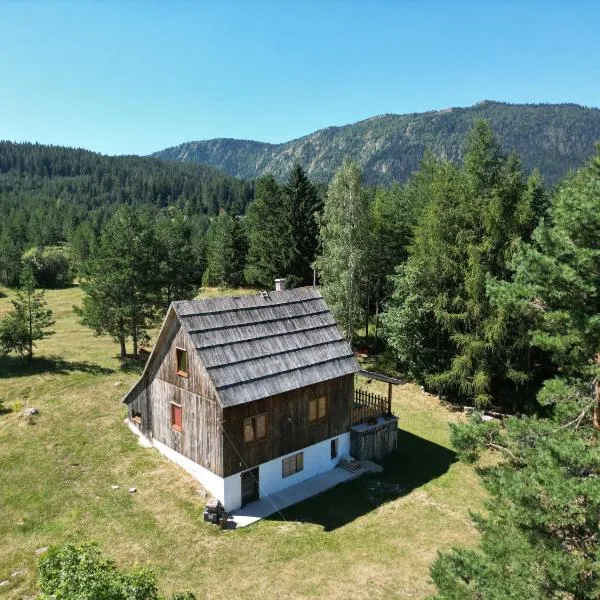 Vukov Konak - Wolf's lodge，位于扎布利亚克的酒店