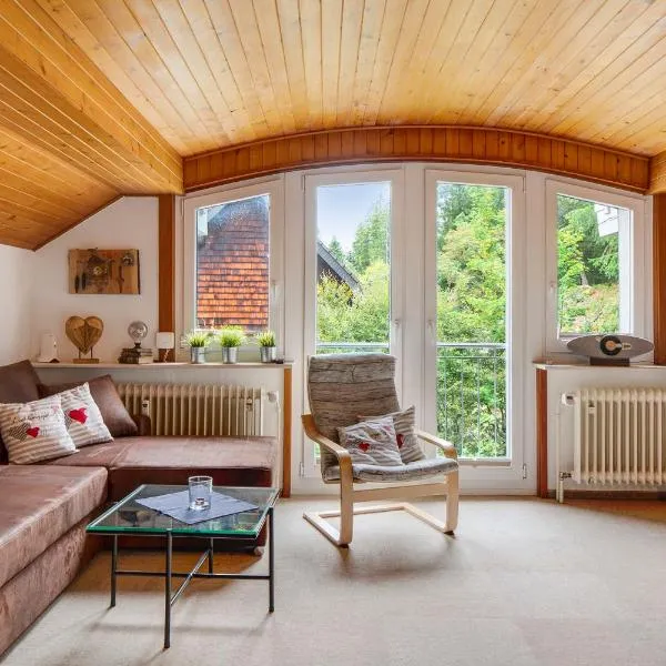 Feldbergstern, hotell sihtkohas Feldberg