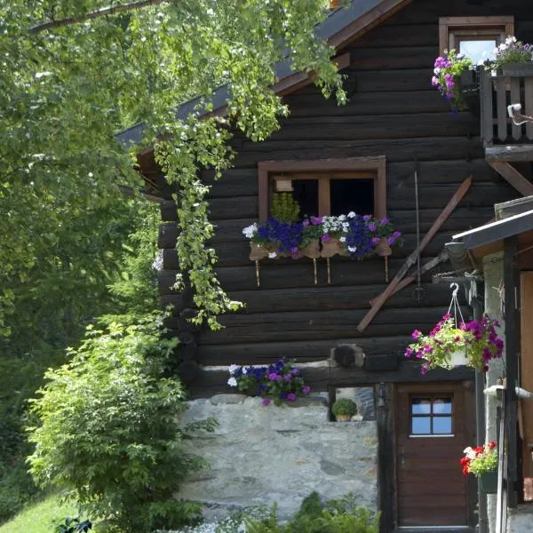 "CHALET dei FIORI" room & apartment, hotel v destinaci Bedretto