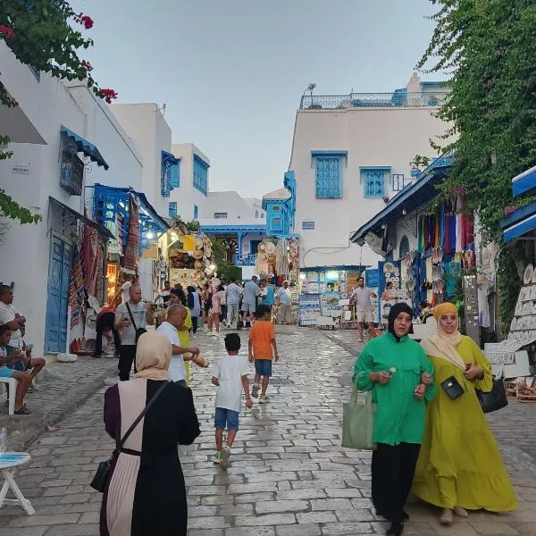 La maison 4 puits, hotel in Sidi Bou Saïd