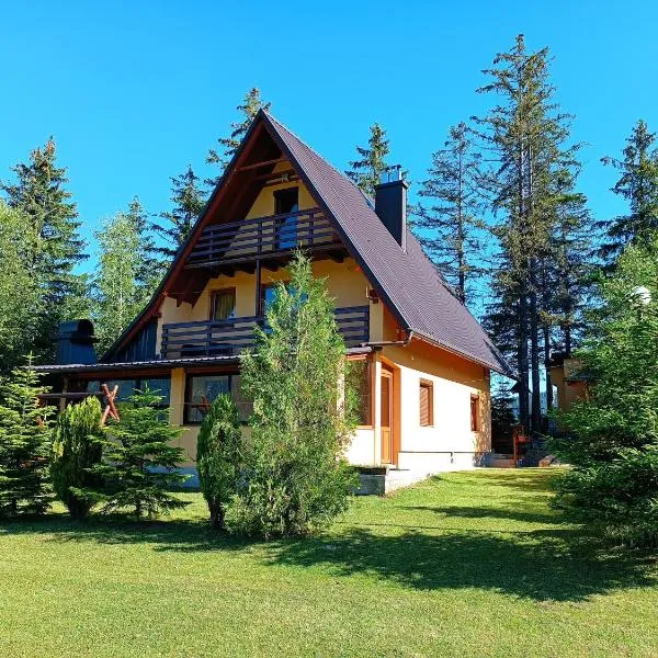 Apartmani ( VILA ) Vucko, hotel in Vlasic