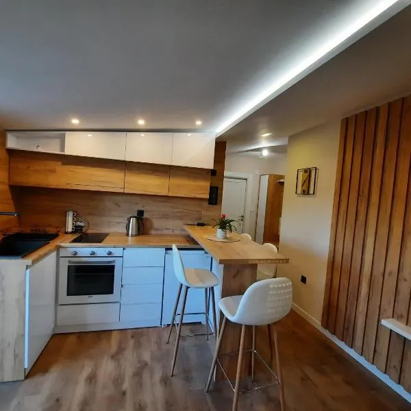 Dream Home, FREE GARAGE, hotel en Niš